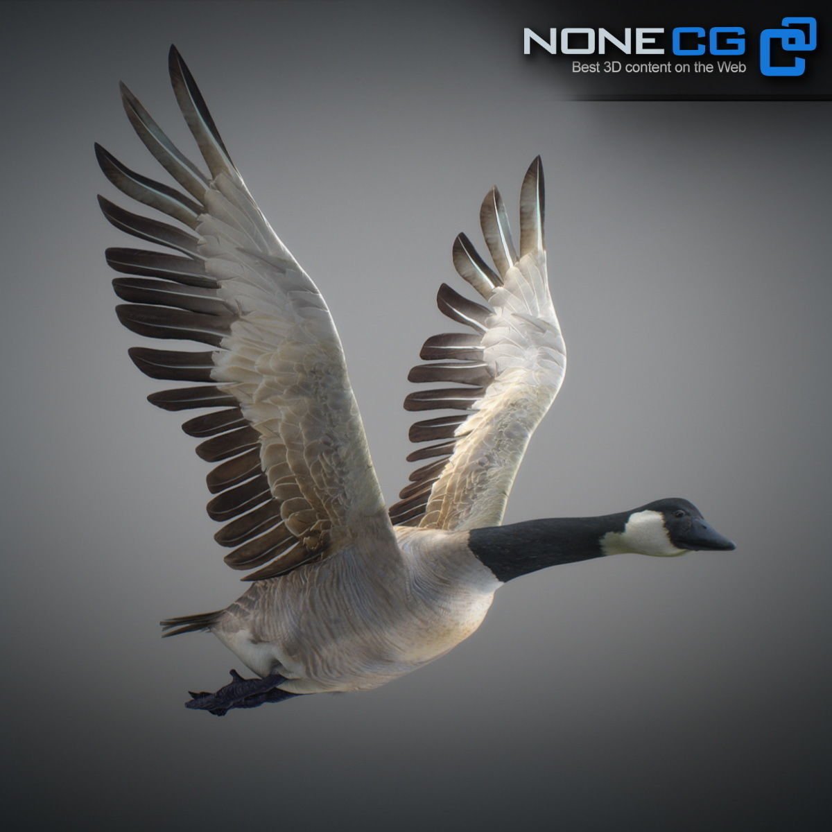 Animated Canada Goose 3D model_13