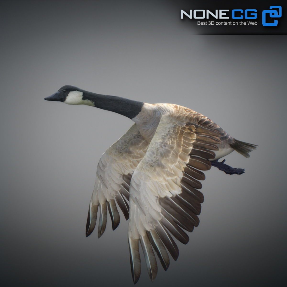 Animated Canada Goose 3D model_12