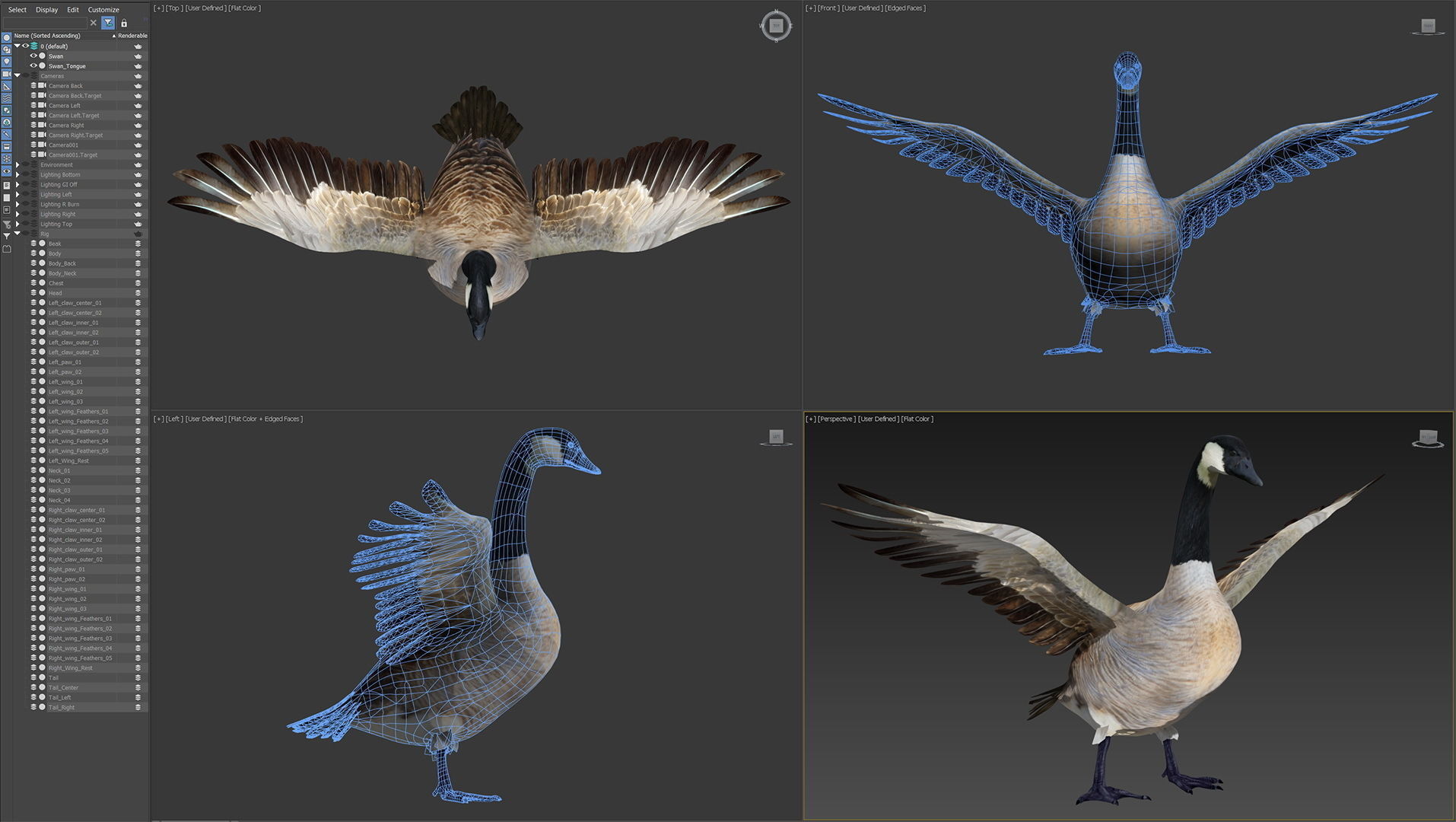 Animated Canada Goose 3D model_20
