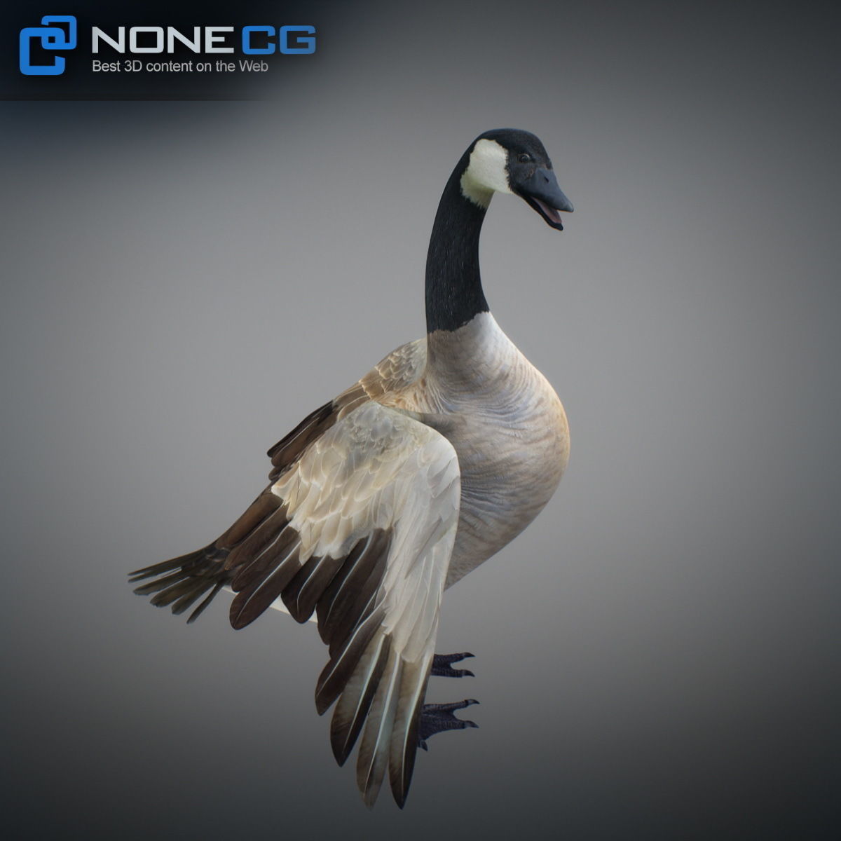 Animated Canada Goose 3D model_6