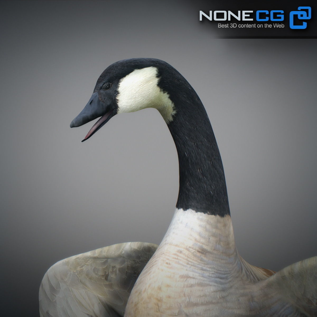 Animated Canada Goose 3D model_3