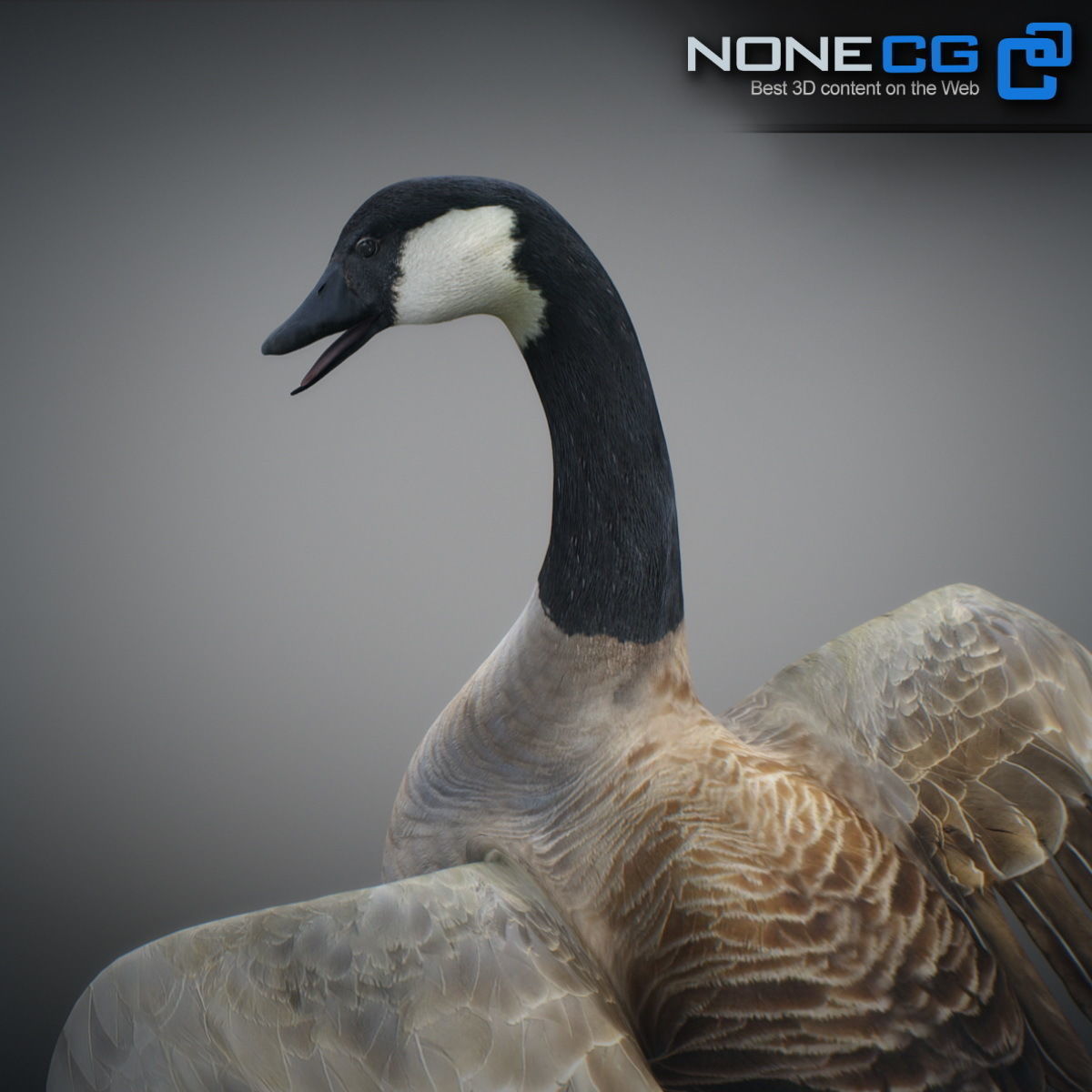 Animated Canada Goose 3D model_5