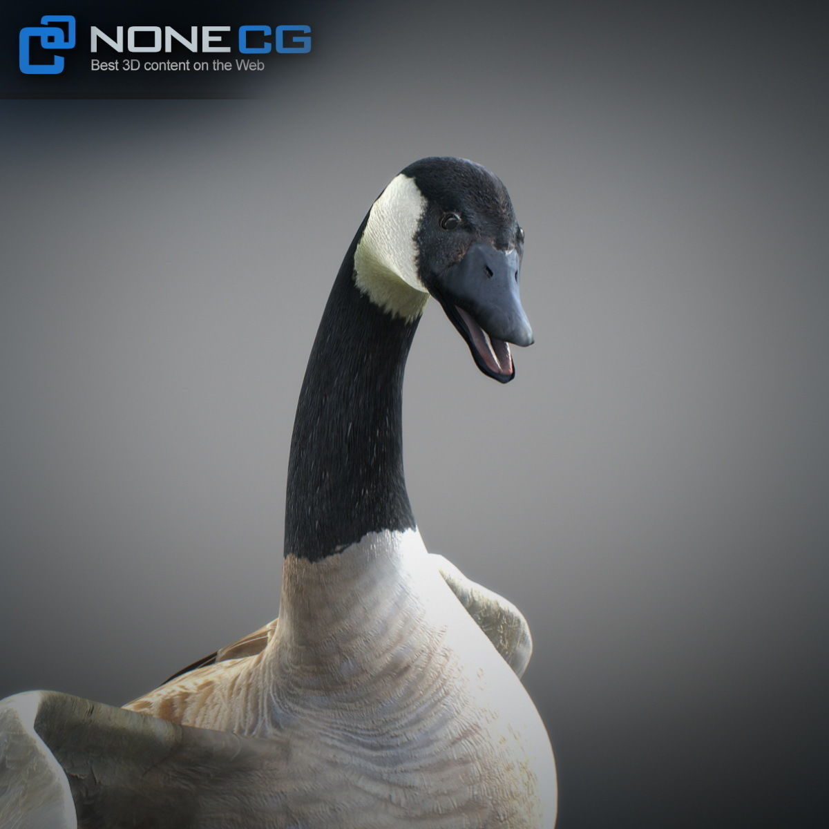 Animated Canada Goose 3D model_4