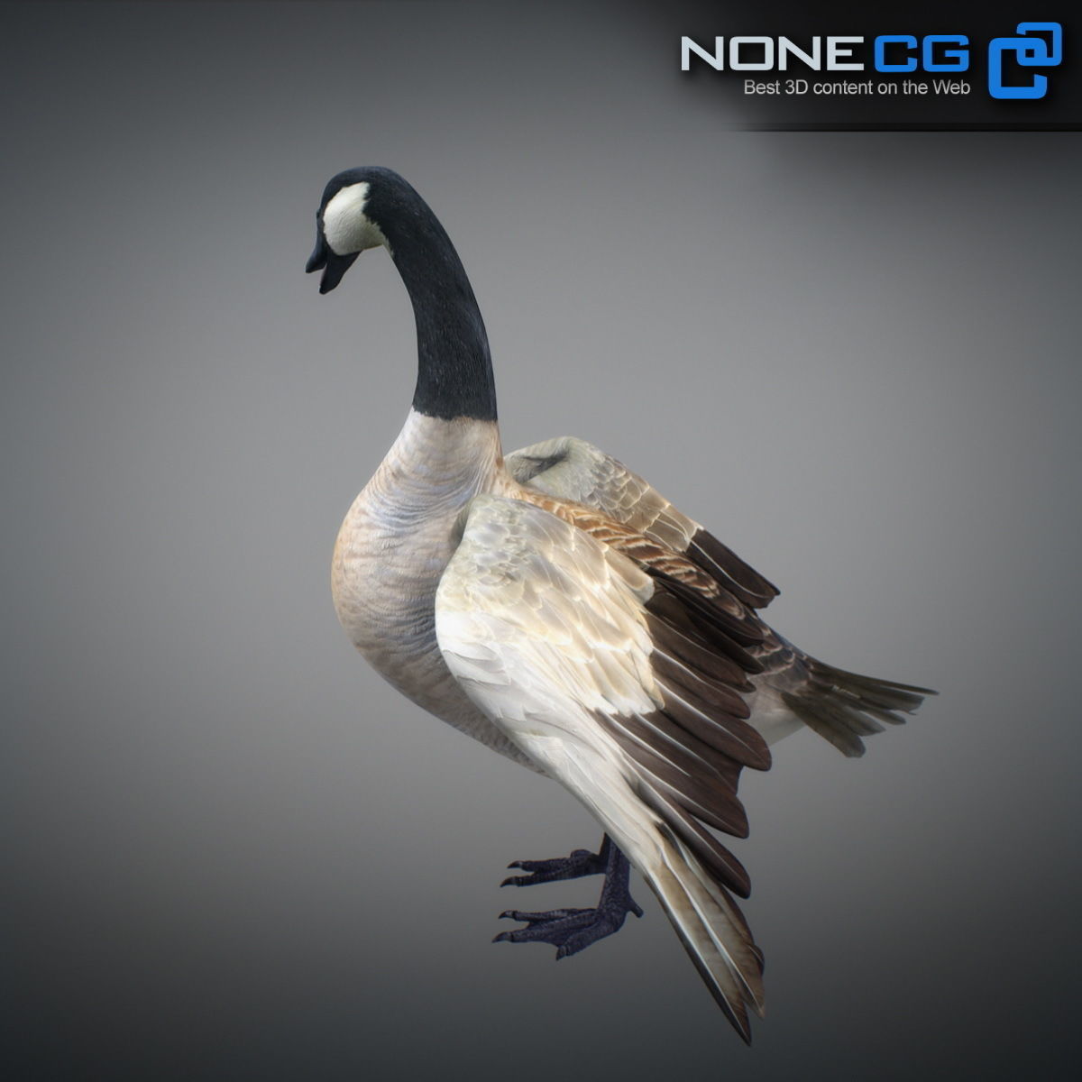 Animated Canada Goose 3D model_7