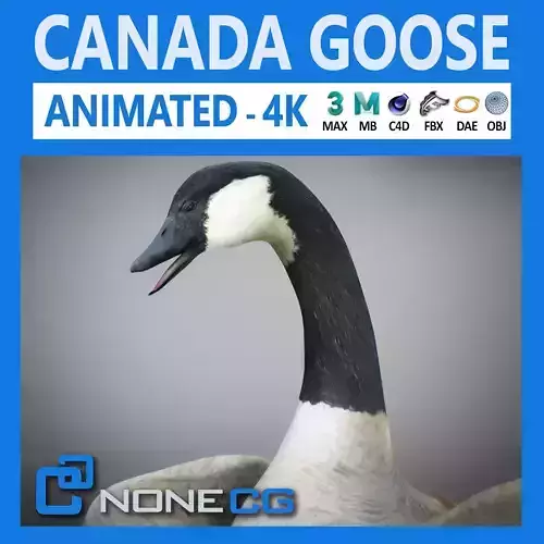 Animated Canada Goose 3D model