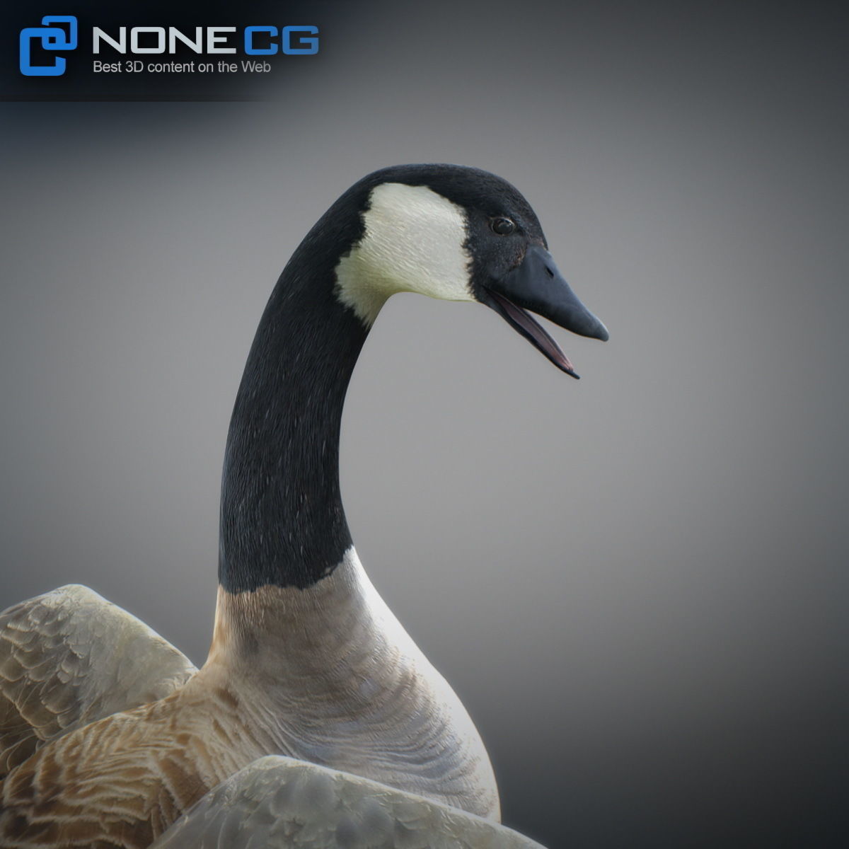 Animated Canada Goose 3D model_2