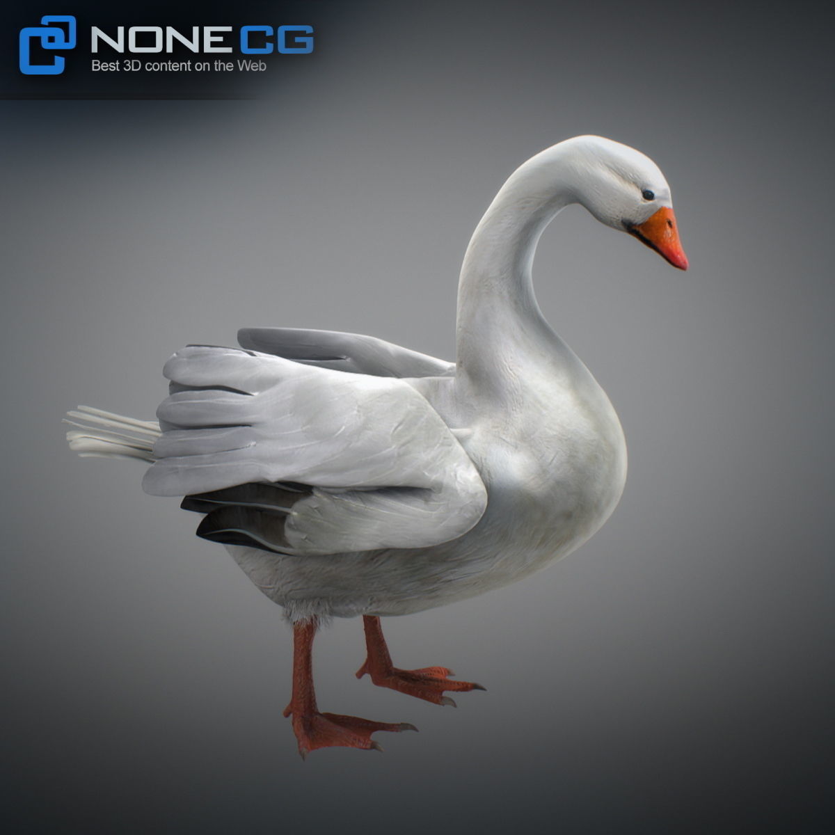 Animated Snow Goose 3D model_21