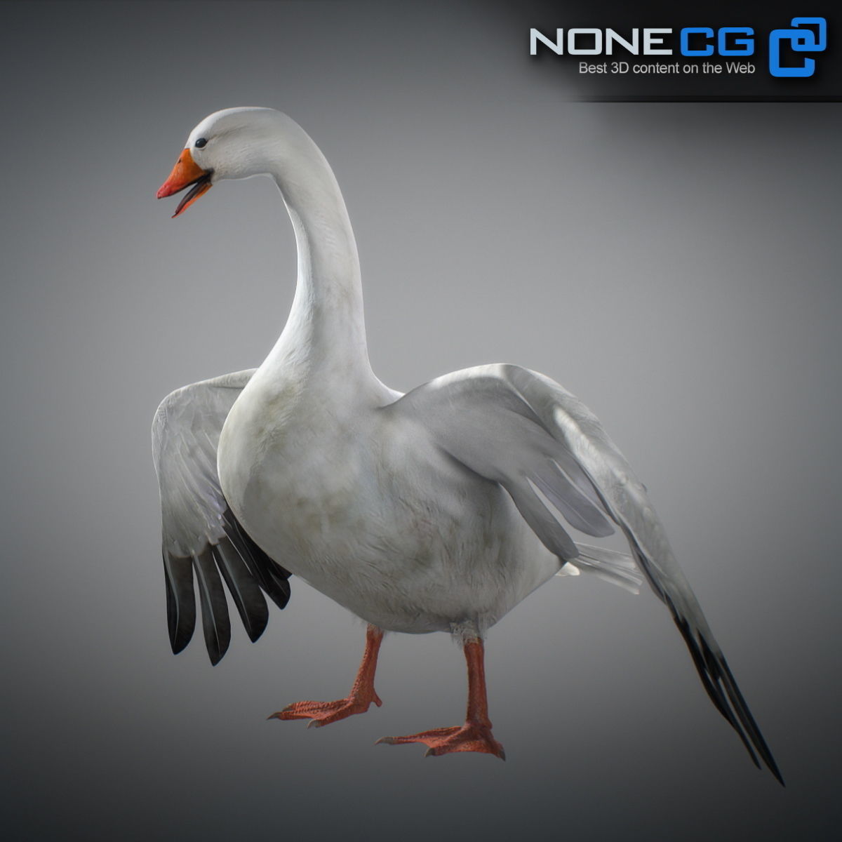 Animated Snow Goose 3D model_13