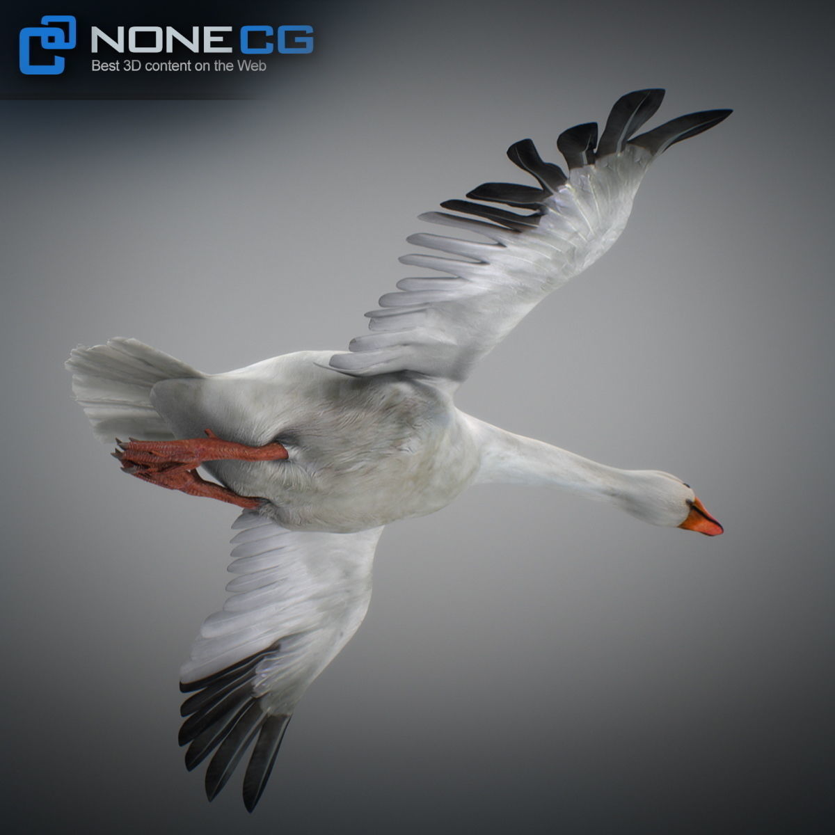 Animated Snow Goose 3D model_9