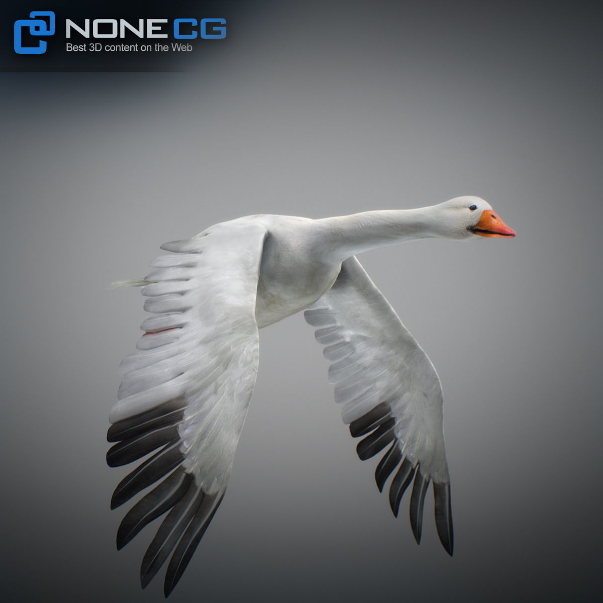 Animated Snow Goose 3D model_3
