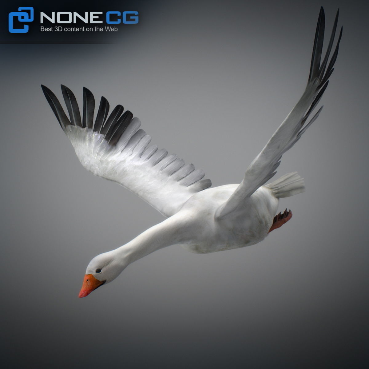Animated Snow Goose 3D model_6