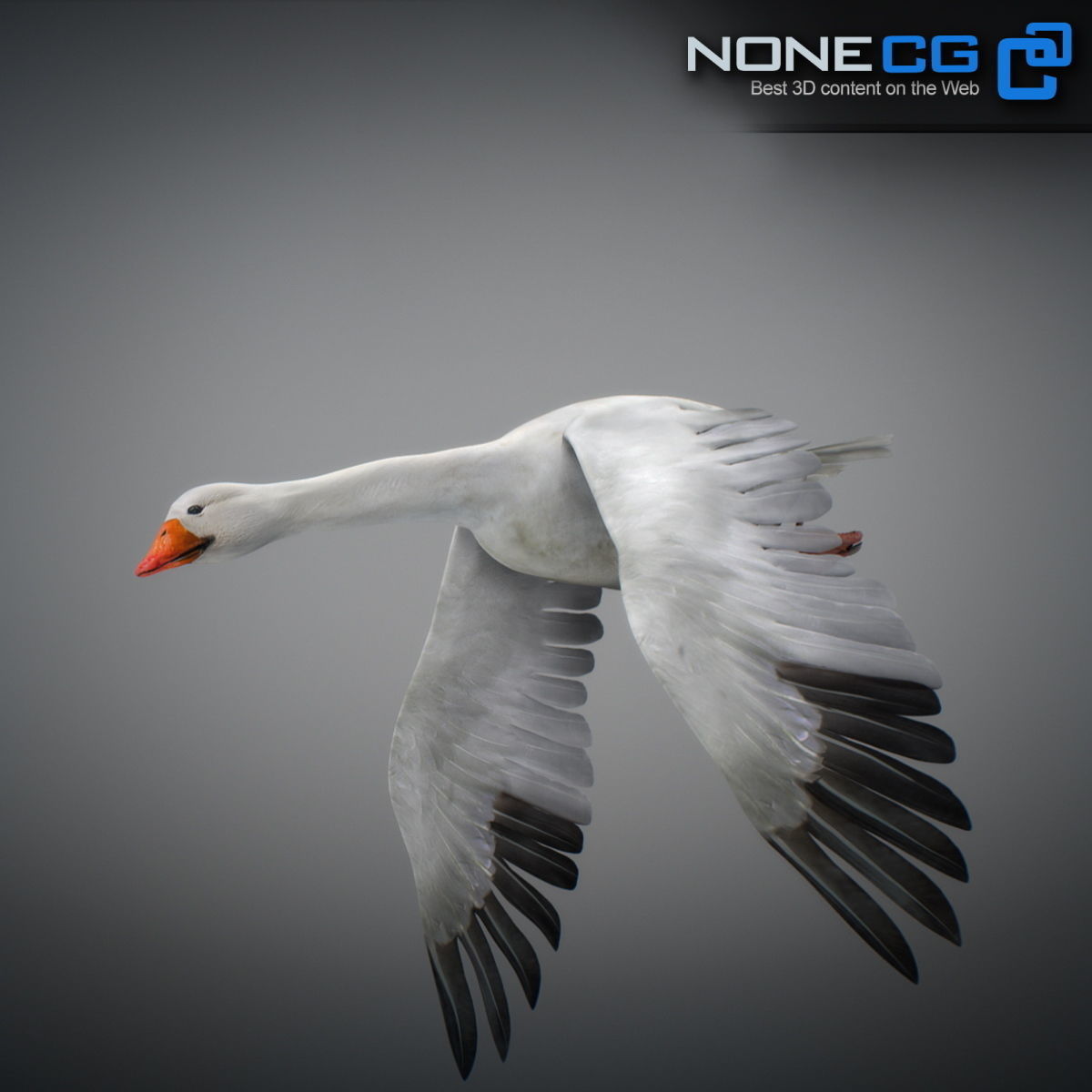 Animated Snow Goose 3D model_8