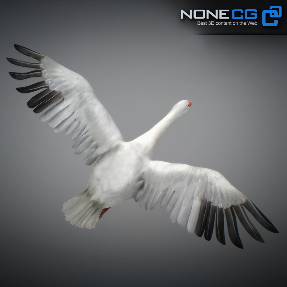 Animated Snow Goose 3D model_4