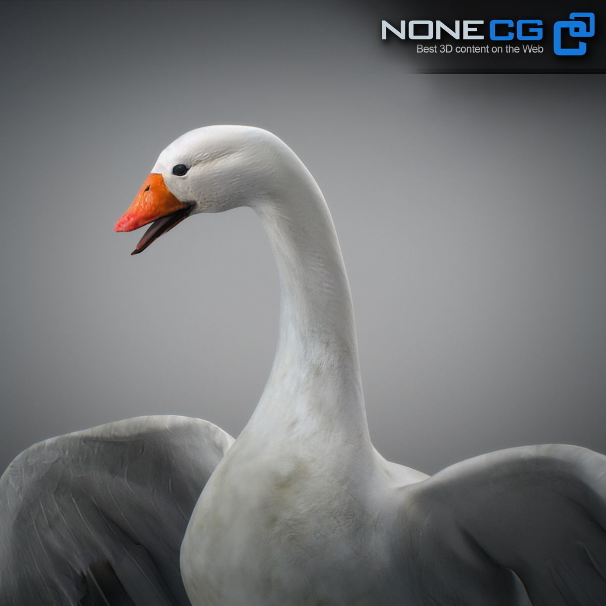 Animated Snow Goose 3D model_19