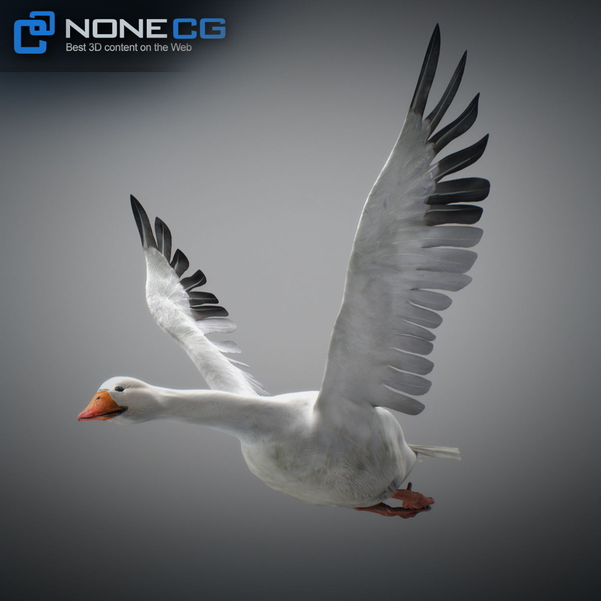 Animated Snow Goose 3D model_5