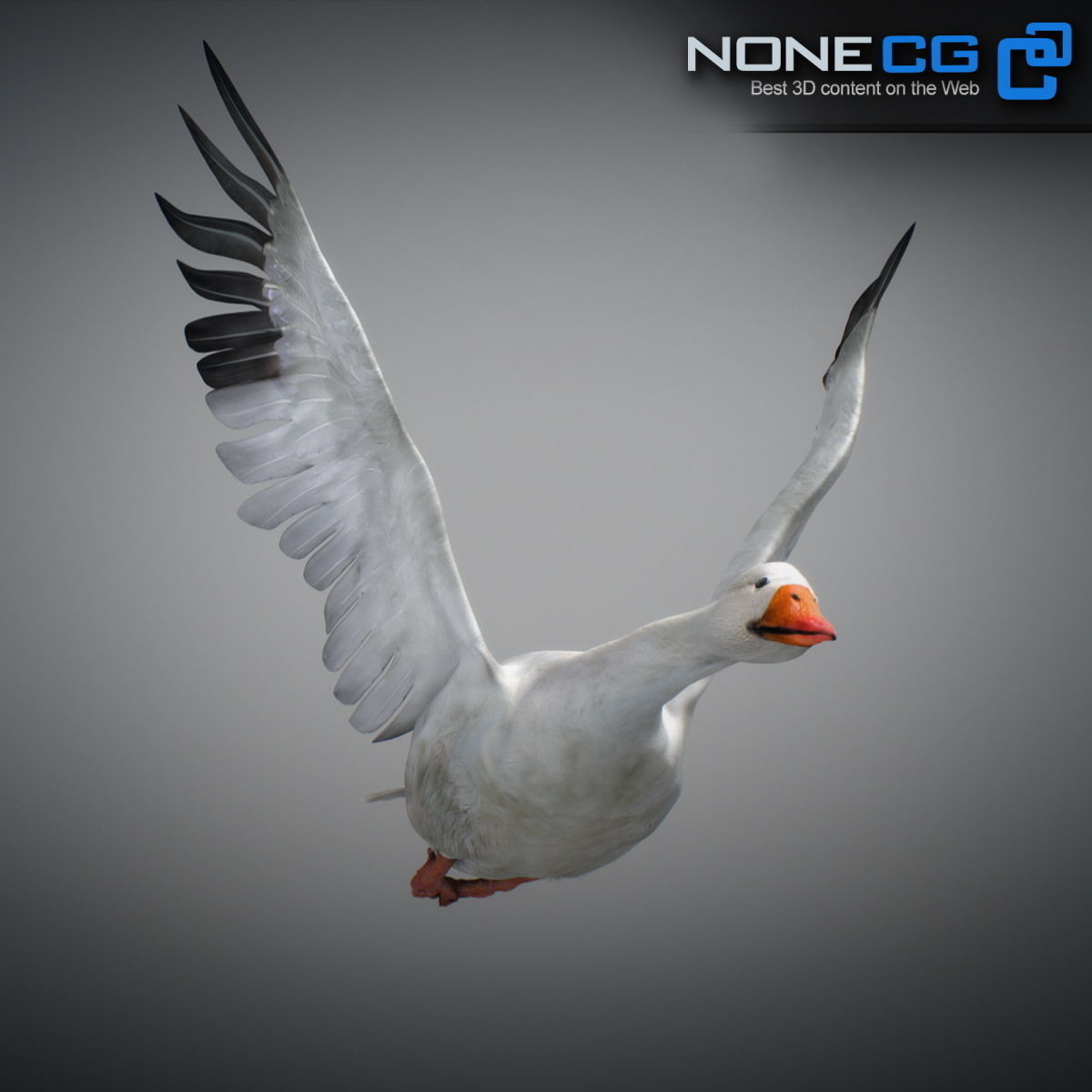 Animated Snow Goose 3D model_11