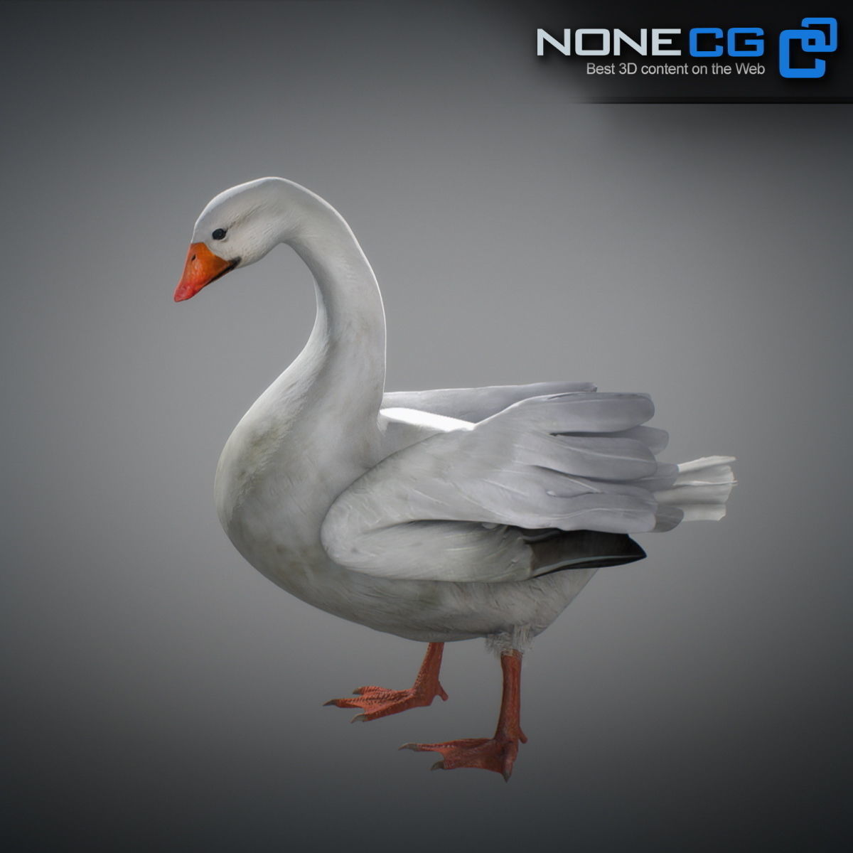 Animated Snow Goose 3D model_20