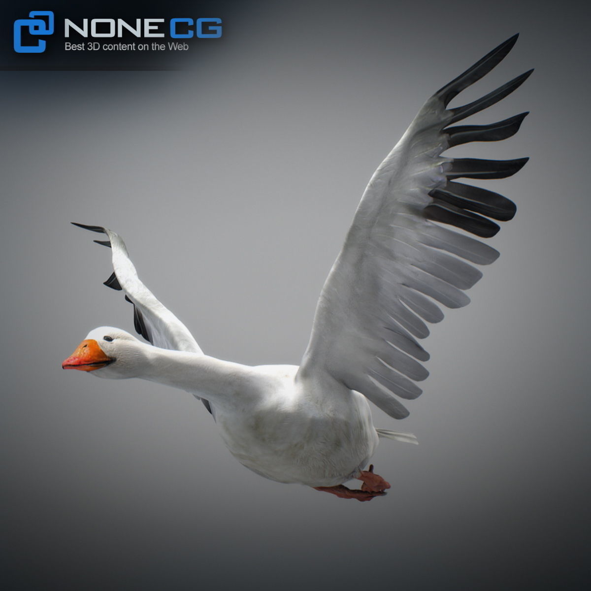 Animated Snow Goose 3D model_12