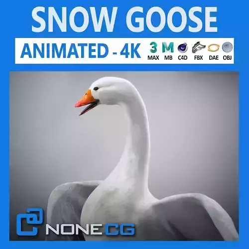 Animated Snow Goose 3D model