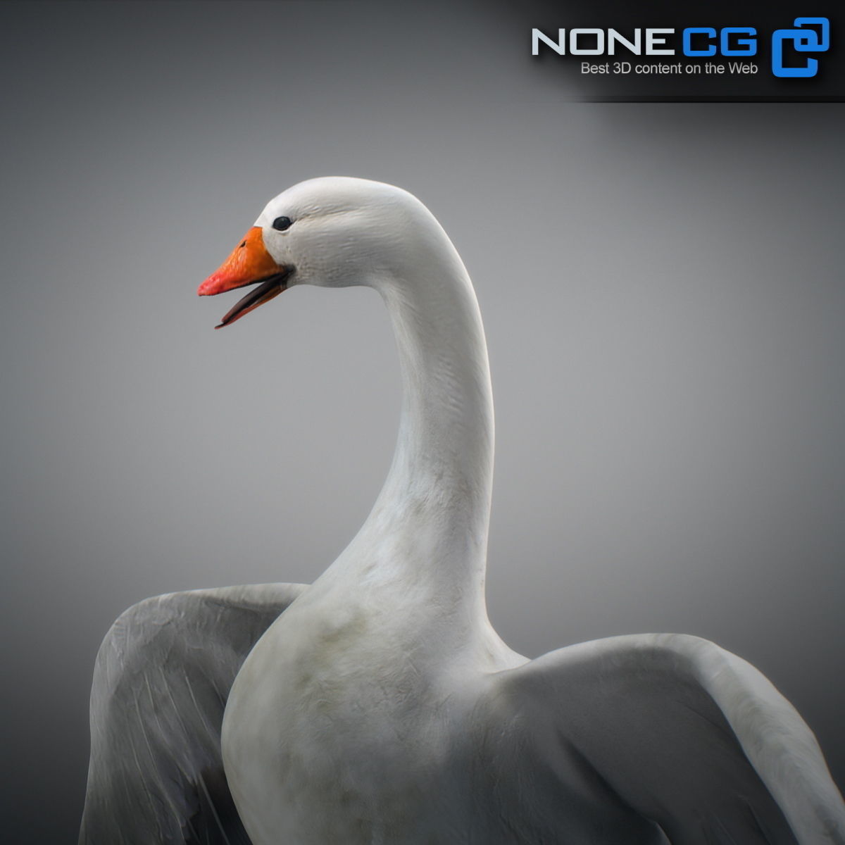 Animated Snow Goose 3D model_18
