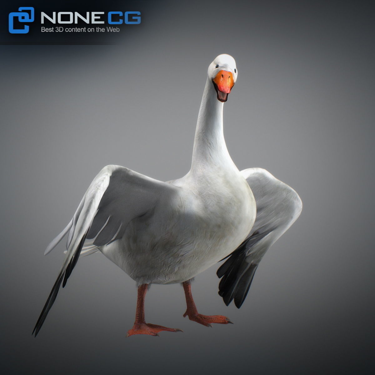 Animated Snow Goose 3D model_14