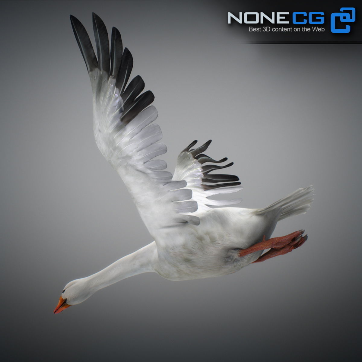 Animated Snow Goose 3D model_10