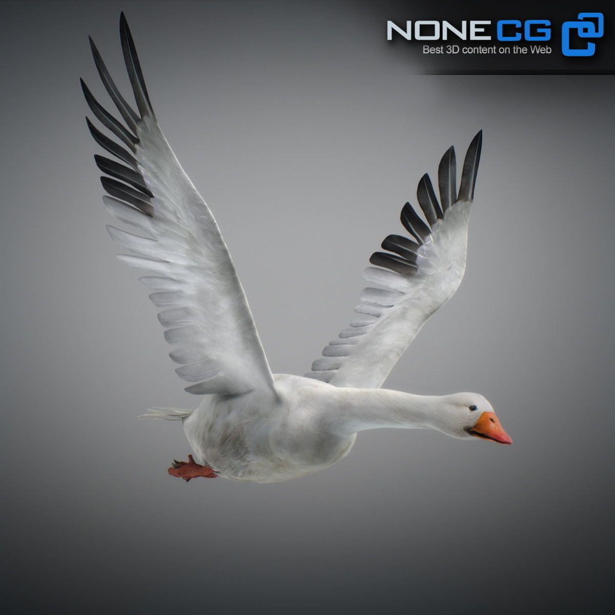 Animated Snow Goose 3D model_2