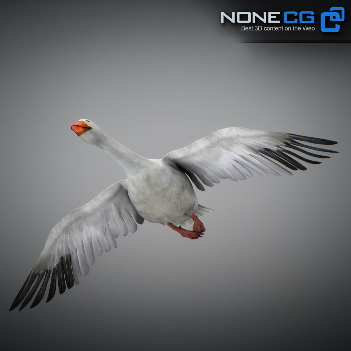 Animated Snow Goose 3D model_7