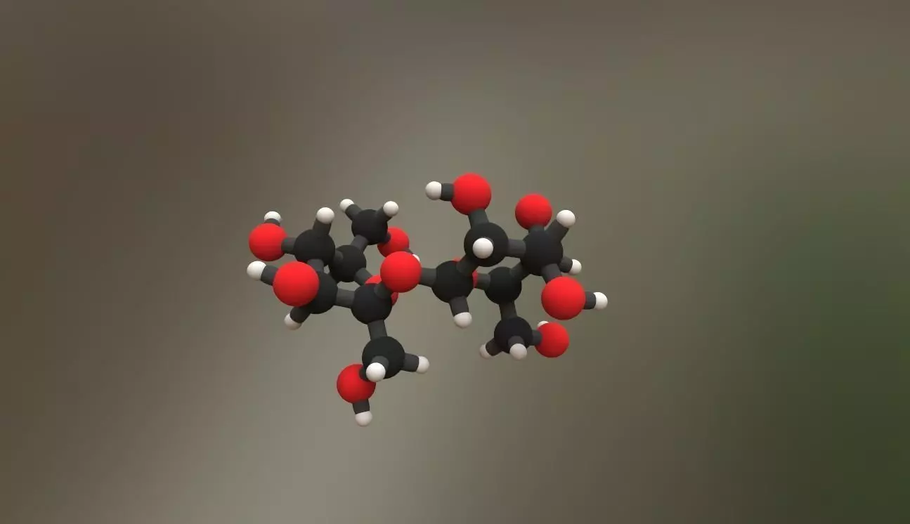 Sucrose molecule sacarose sacharosis disaccharide Low-poly 3D model