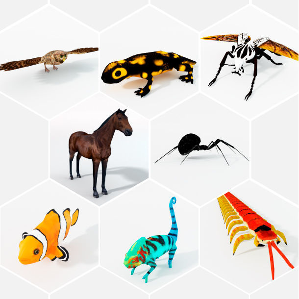 40 Models Animal Pack - Collection Low-poly 3D model_5