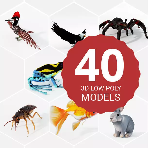 40 Models Animal Pack - Collection Low-poly 3D model_0