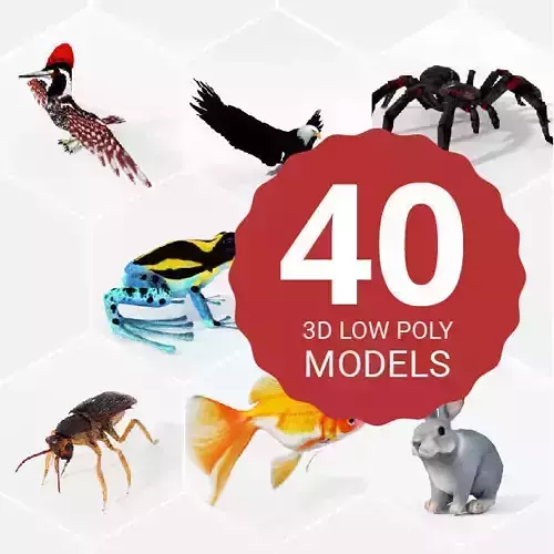 40 Models Animal Pack - Collection Low-poly 3D model