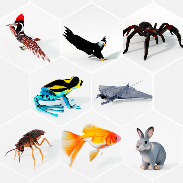 40 Models Animal Pack - Collection Low-poly 3D model_1