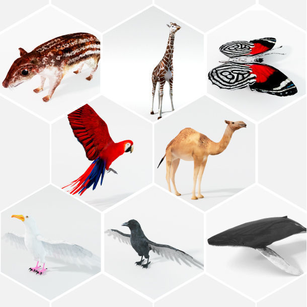 40 Models Animal Pack - Collection Low-poly 3D model_2