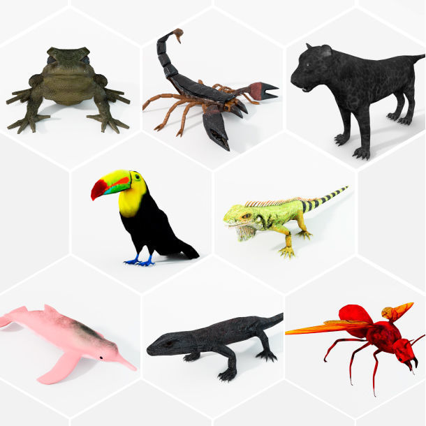 40 Models Animal Pack - Collection Low-poly 3D model_4