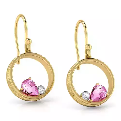 Round Hollow Earring