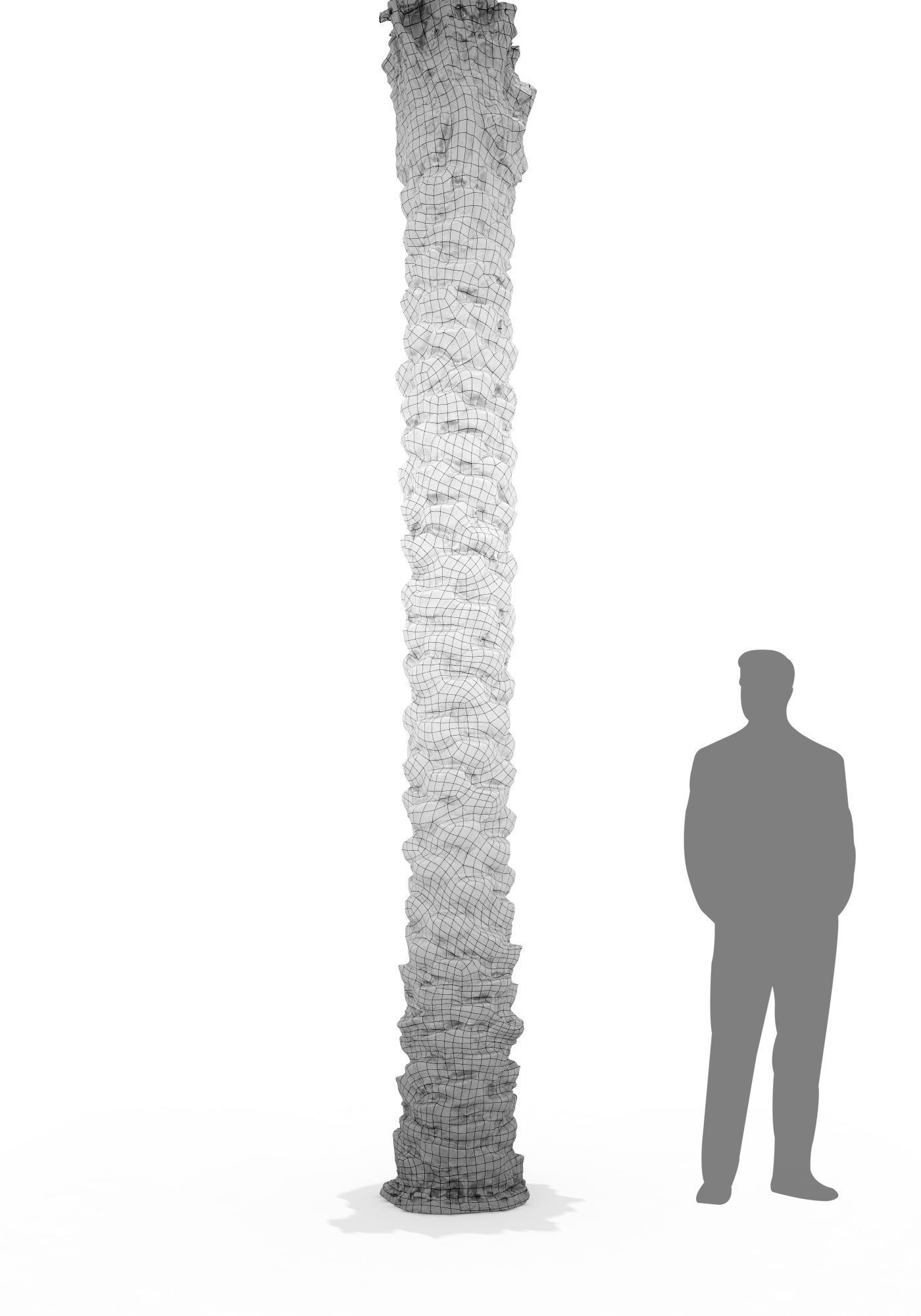 Date Palm Scan 3 8k Low-poly 3D model_3