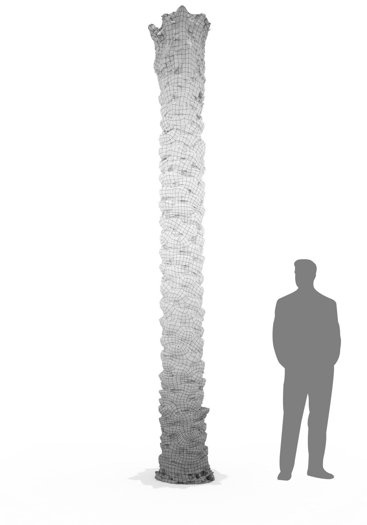 Date Palm Scan 3 8k Low-poly 3D model_7