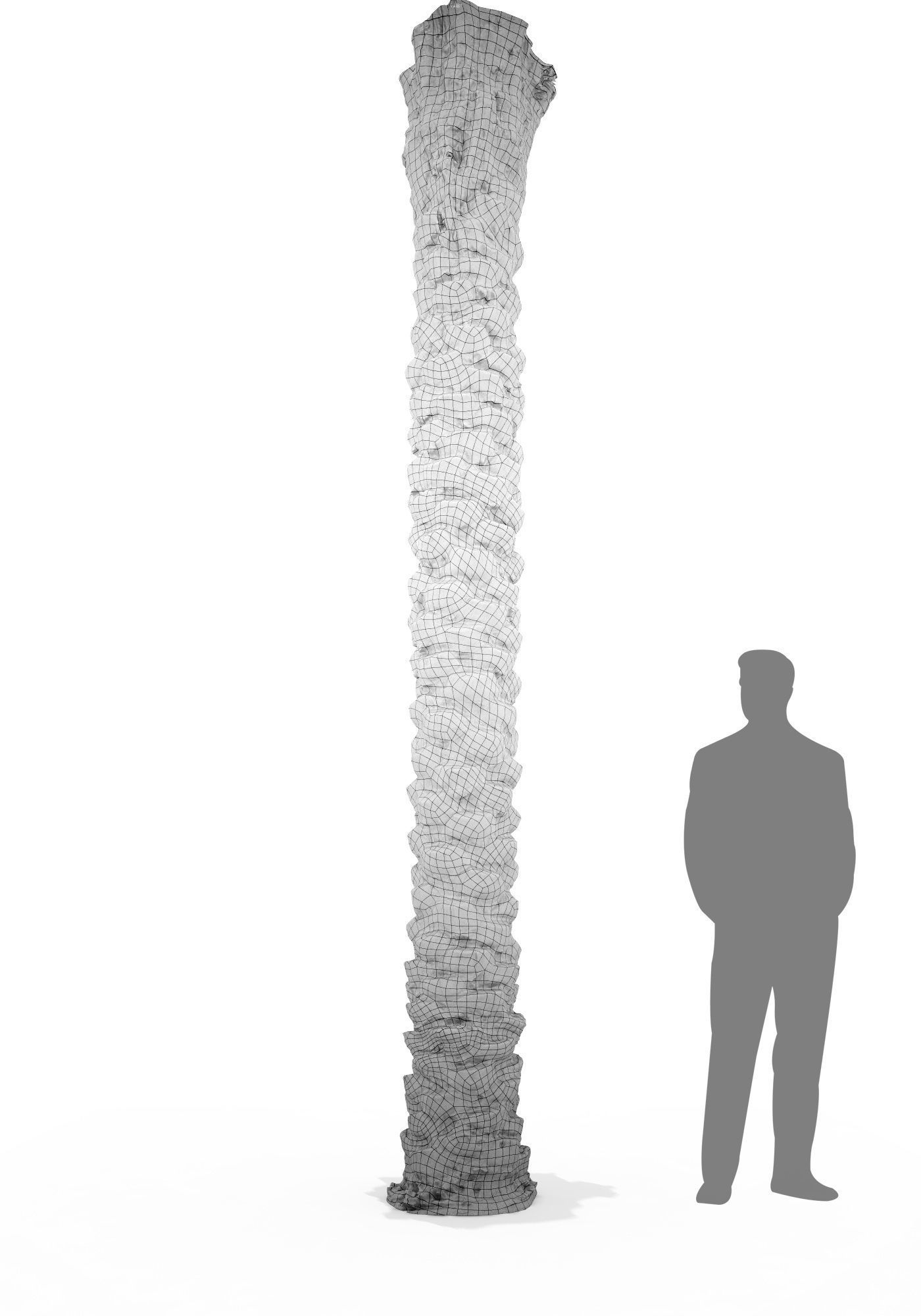 Date Palm Scan 3 8k Low-poly 3D model_6