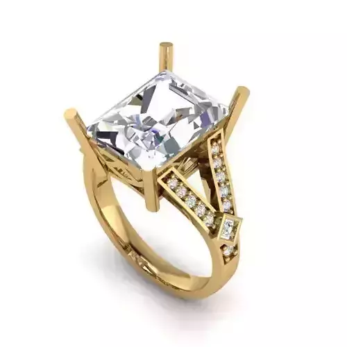 Rectangular Diamond Engagement Ring With Diamonds