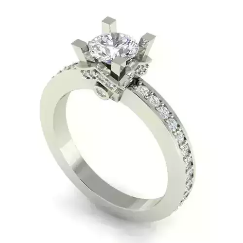 Engagement Ring With Diamonds 209