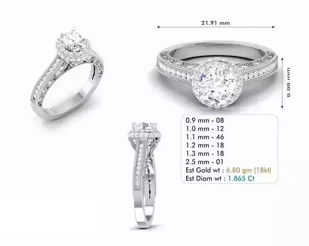 Round Halo Engagement Ring With Diamonds 11