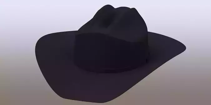 Stetson Hat