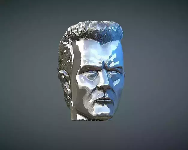 Terminator T1000 inspirited figure Head 3D print model