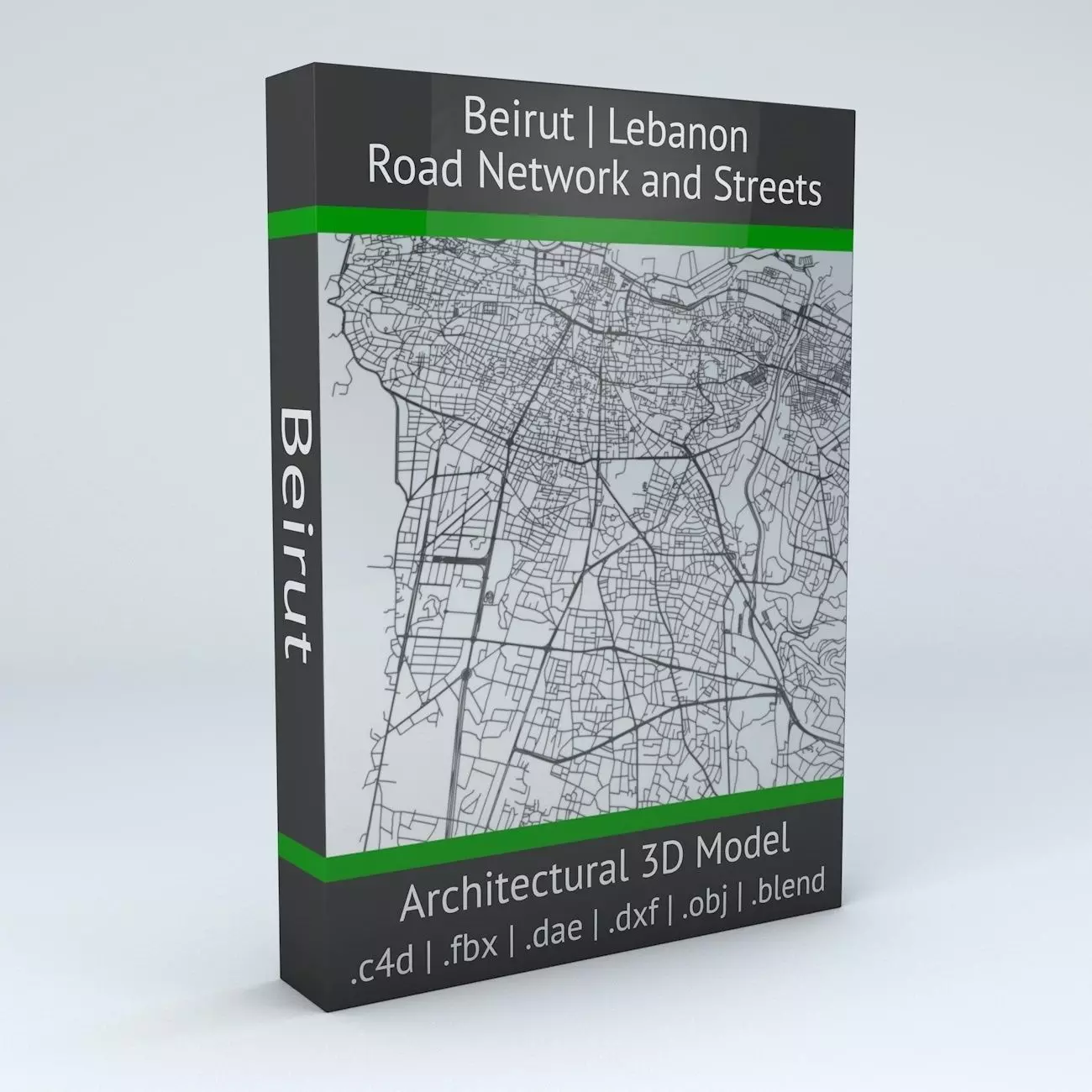 Beirut Road Network and Streets 3D model_0