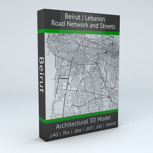 Beirut Road Network and Streets 3D model