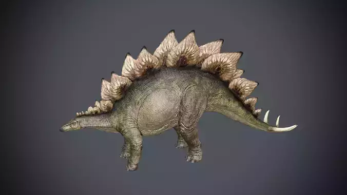 Stegosaurus- Maya Low-poly 3D model