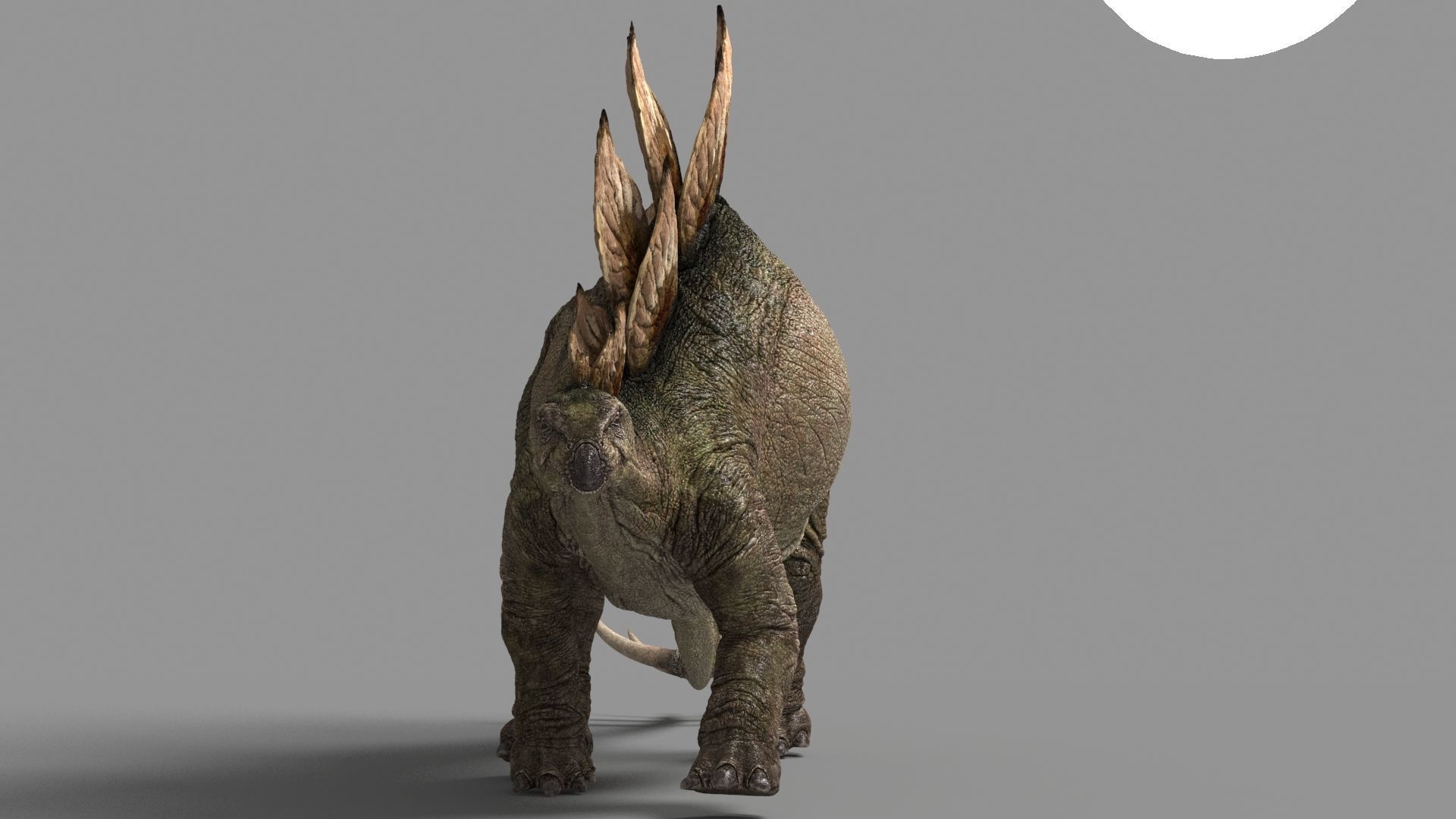 Stegosaurus- Maya Low-poly 3D model_10