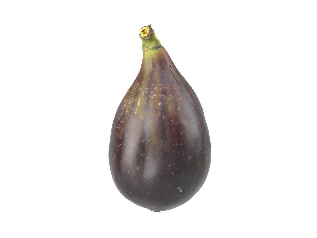 Photorealistic Fig 3D Scan 3D model_2