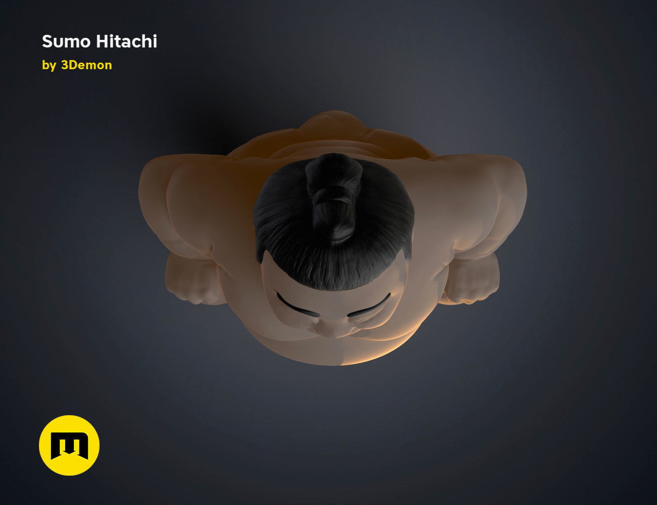 Sumo Hitachi - 3D print model  3D print model_10